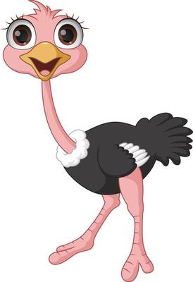 Cute ostrich cartoon isolated on white background