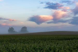 Latvian summer landscapes photo