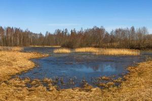 Latvian Springtime Landscapes photo