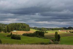 Latvian summer landscapes photo