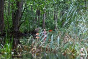 Latvian lake landscapes in summer photo