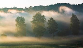 Landscapes of Latvia in Summer photo