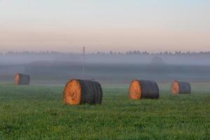 Latvian summer landscapes photo