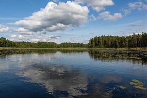 Latvian lake landscapes in summer photo