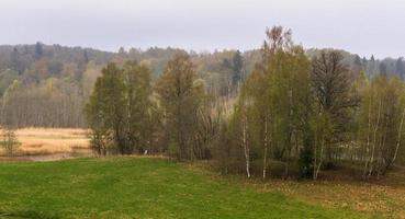 Latvian Springtime Landscapes photo