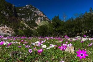 paisajes del parque natural tzoumerka foto