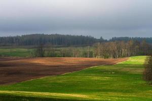 Latvian Springtime Landscapes photo