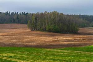 Latvian Springtime Landscapes photo