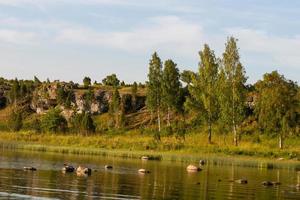 Summer Landscapes from Mmuhu Island photo