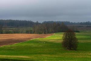 Latvian Springtime Landscapes photo