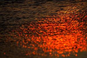 Baltic Sea Summer Landscapes photo