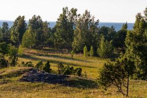 Summer Landscapes from Mmuhu Island photo