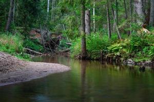 Small Forest River in Summer with Green Background photo