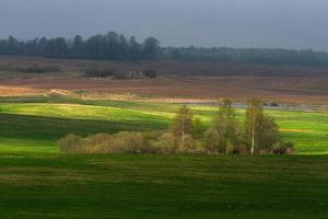 Latvian Springtime Landscapes photo