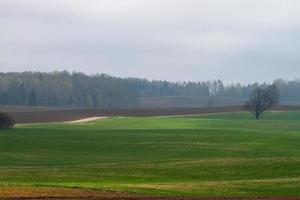 Latvian Springtime Landscapes photo