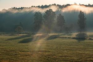 Latvian summer landscapes photo