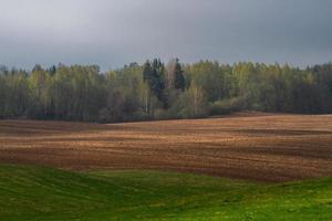 Latvian Springtime Landscapes photo