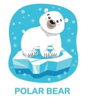 tarjeta educativa con la imagen de un oso polar sobre un témpano de hielo y una leyenda. una imagen de un animal salvaje del ártico en un estilo lindo de dibujos animados para niños vector