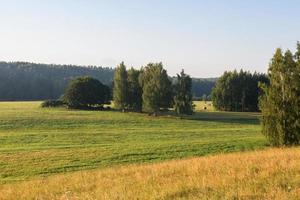 Latvian summer landscapes photo