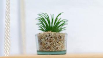 Decorative plastic grass in a plastic transparent pot isolated on white background photo