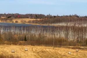 Latvian Springtime Landscapes photo