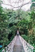 sky walk in the jungle photo