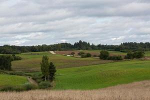 Latvian summer landscapes photo