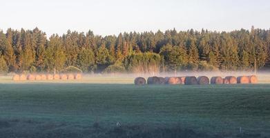 Latvian summer landscapes photo