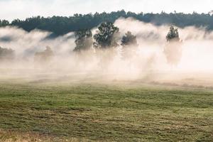 Latvian summer landscapes photo