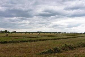 Latvian summer landscapes with hay rolls photo