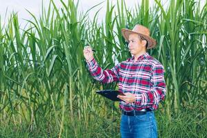 An Asian farmer in a plaid shirt stands in a field. photo