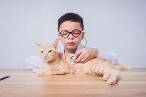 Asian male doctor examining a cat photo