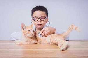 Asian male doctor examining a cat photo