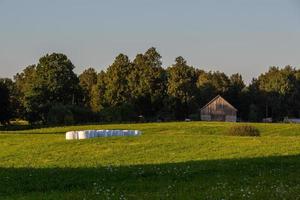 Latvian summer landscapes photo