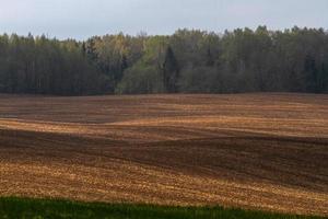 Latvian Springtime Landscapes photo