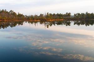 Swamp lake in Springtime photo