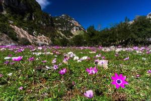 Landscapes from Tzoumerka Natural Park photo