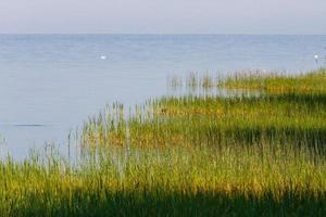 Summer Landscapes from Mmuhu Island photo