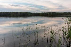 paisajes del lago letón en verano foto