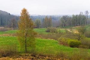 Latvian Springtime Landscapes photo