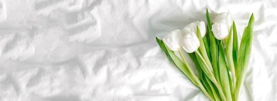 White tulips flowers. Top view, copy space. Concept of spring holiday Easter, Mothers day. Long panoramic banner for design. photo