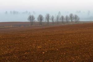 Latvian Springtime Landscapes photo