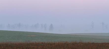 Latvian Springtime Landscapes photo