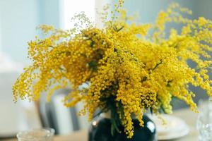 Mimosa flowers in vase on table. Happy womens day or Happy Mothers day greeting card. photo