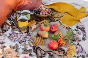 Tea cups, fruits and grapes on plaid in park. Autumn picnic on nature. Cozy autumn outdoor concept. photo