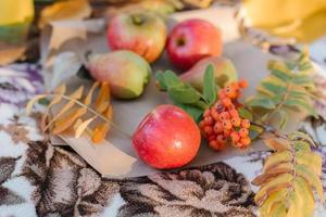 frutas de otoño, manzanas y peras en papel artesanal en una acogedora tela escocesa en el parque de otoño. picnic de otoño foto