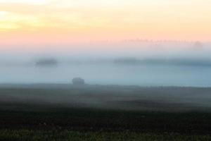 Latvian summer landscapes photo