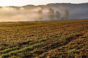 Latvian summer landscapes photo