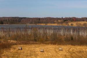 Latvian Springtime Landscapes photo