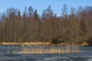 Latvian Springtime Landscapes photo